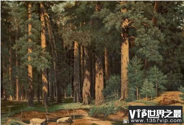 世界上森林面积最大的国家 俄罗斯面积最大(地广人稀)