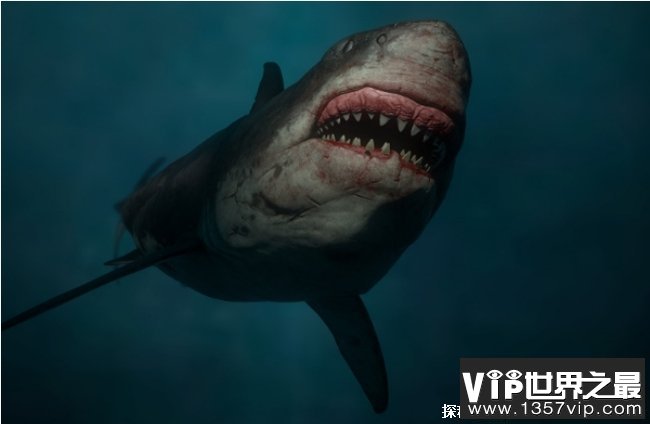 远古十大恐怖猛兽 巨齿鲨排名第一(强大的牙齿)
