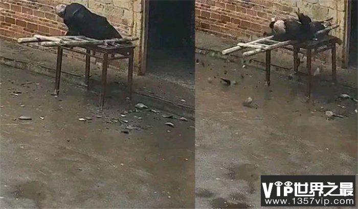 监控看到父亲从房顶摔下 儿子突然就泪崩（留守老人）