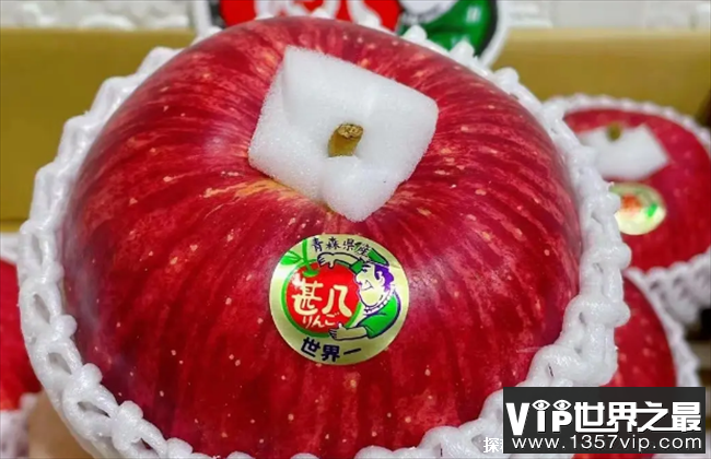 世界上最大的苹果 世界一号苹果达到3斤(价格昂贵)