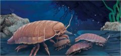 世界上最古老的生物 巨型木虱1.6亿年外形未变