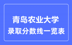 2023年高考多少分能上青岛农业大学？附各省录取分数线