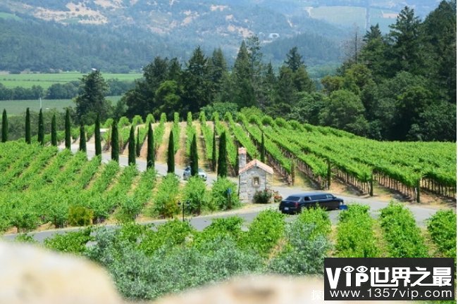 世界十大葡萄酒产区 纳帕山谷是位于美国 (品质很好)