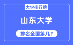 2023年山东大学排名_最新全国排名第几?