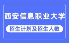 2023年西安信息职业大学各省招生计划及各专业招生人数