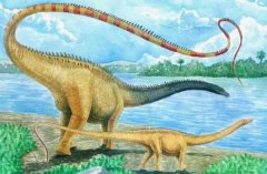 世界上最长的恐龙，地震龙体长可达67米