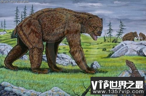 地球上体型最大的熊，巨型短面熊站立高达4.8米