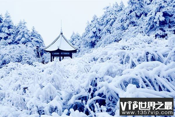 雪为什么是白色的