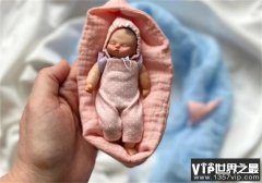 世界上最小的婴儿 五胞胎当中的孩子(250克)