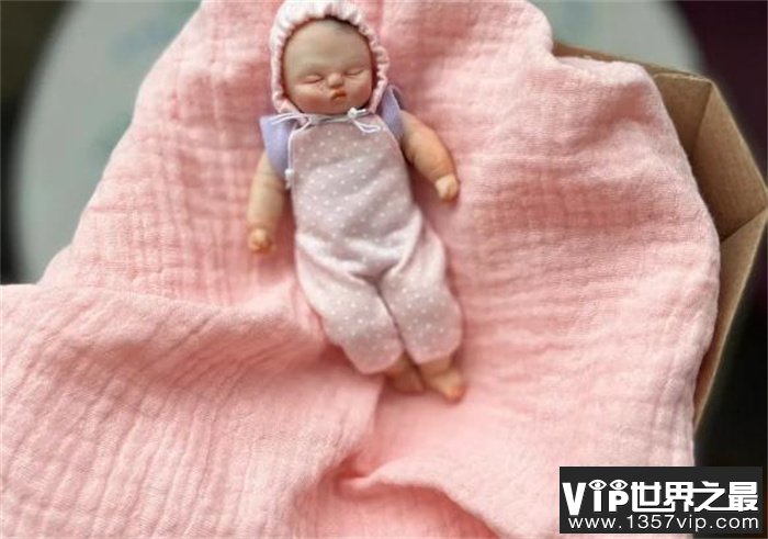 世界上最小的婴儿 五胞胎当中的孩子(250克)