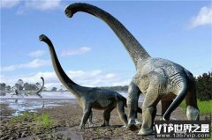 世界上最大的恐龙 初步估计长度至少50米(地震龙)