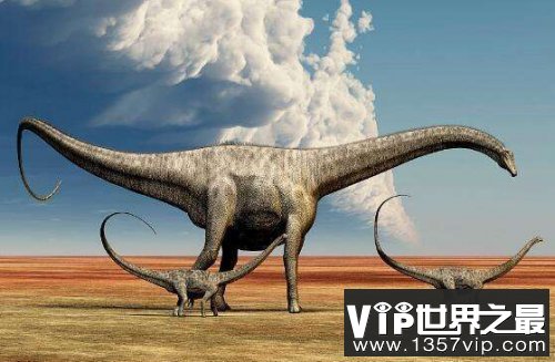 世界上最大的恐龙，地震龙体长32-36米