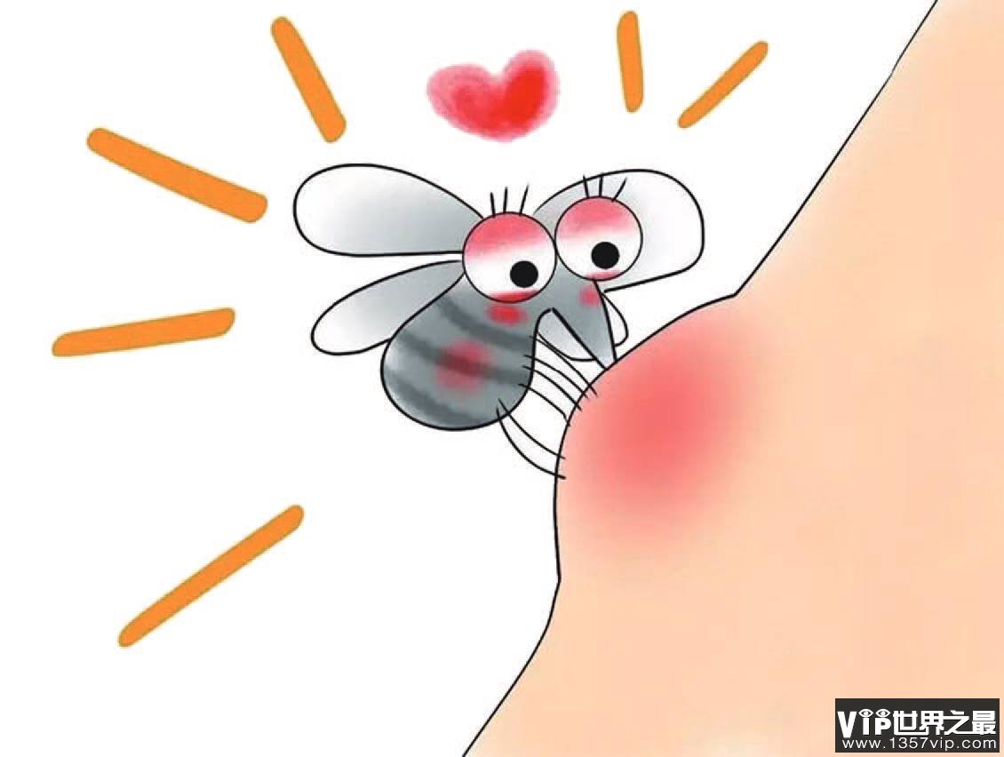 被蚊子咬的包越大 蚊子毒性越强吗？