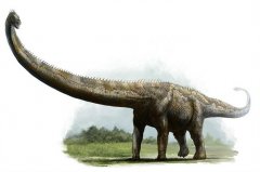 易碎双腔龙是世界上最重的恐龙 体重达到180~220吨