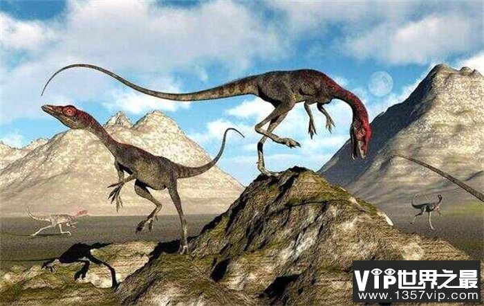 美颌龙——世界上最小的恐龙 体型和火鸡大小相似