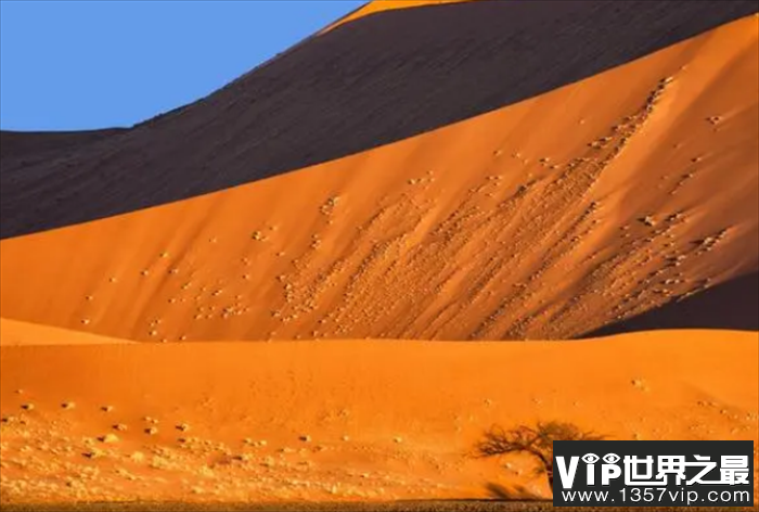 世界最受欢迎的滑沙之地 纳米比亚纳米比沙漠