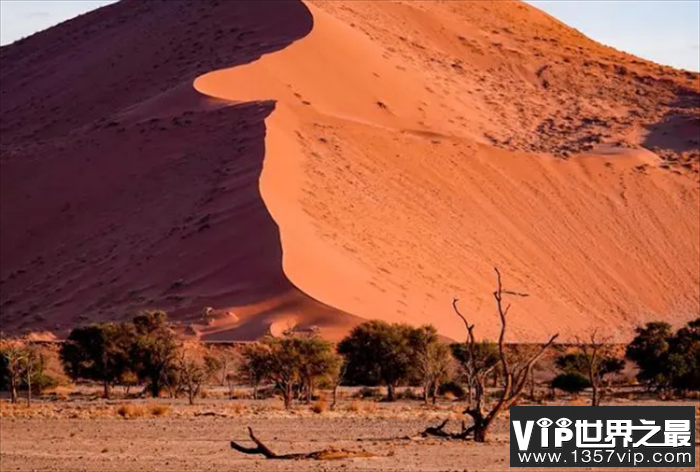 世界最受欢迎的滑沙之地 纳米比亚纳米比沙漠
