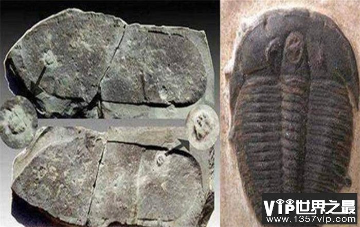 “史前文明”存在的证据 2.5年前的脚印被发现 进化论被推翻
