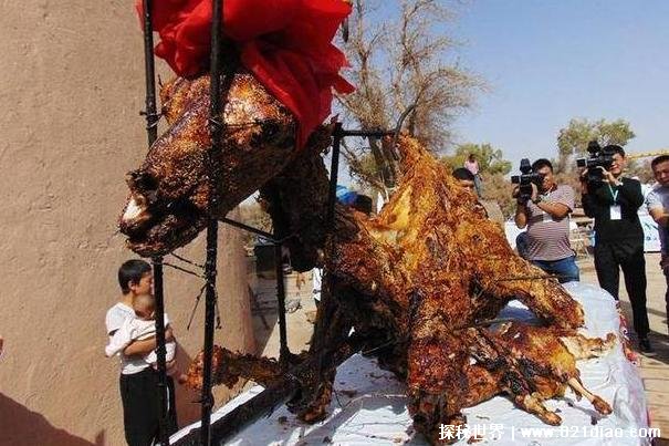 世界上最大的一道菜 烤骆驼阿拉伯民族的硬菜(美味可口)