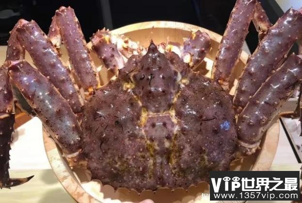 世界上最大的十大螃蟹 巨螯蟹是甲壳动物(体长三米)