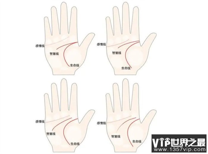 手相图解大全之女人右手手相
