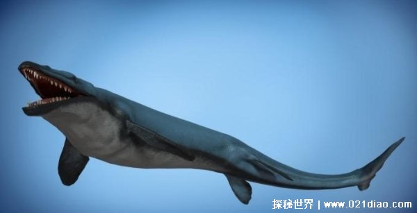 龙王鲸是鲸鱼吗 龙王鲸还存在吗（不存在）