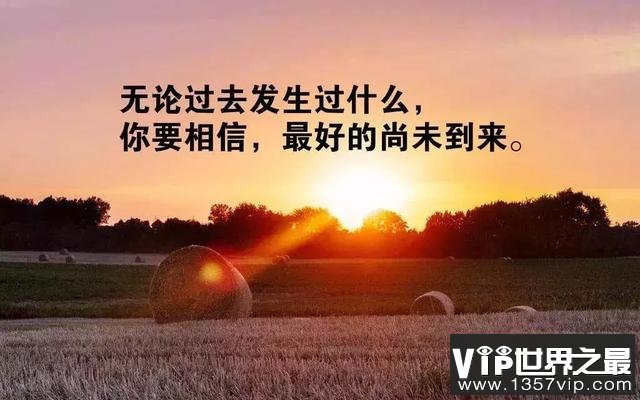 人生感悟的句子 句句精辟现实