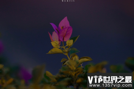特别现实的讽刺性句子