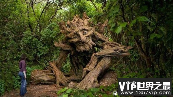 食人树是真的吗 食人树是真的存在吗（虚构植物）