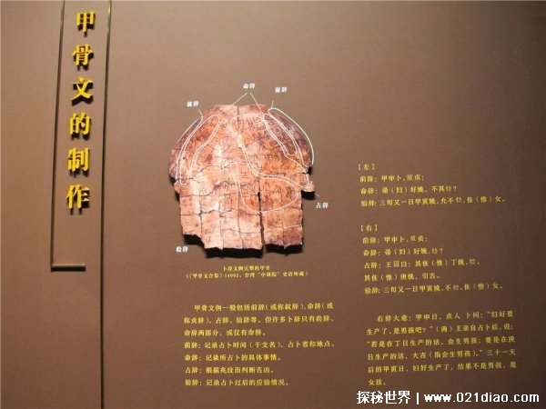 甲骨文是什么时期的文字 甲骨文是谁发现的（商朝时期）
