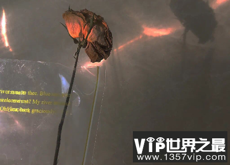 现实又很扎心的句子 句句大实话