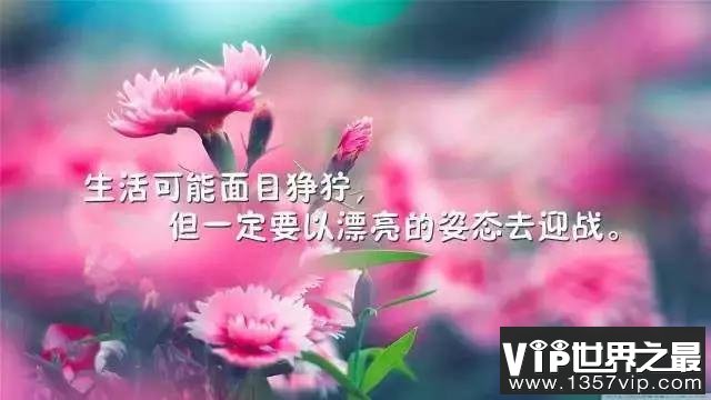 心灵鸡汤经典语录