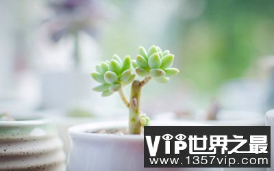 忧伤也是一种美丽