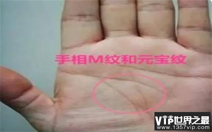 手相上有这4种特征的人，理财能力强，生活过得一年比一年好