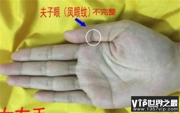 手相：“凤眼”有好也有坏，你手上有凤眼吗？来看看是好是坏