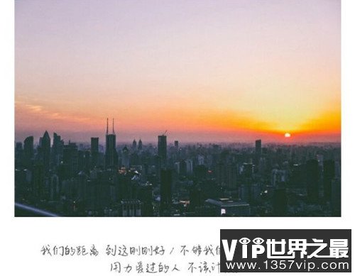 感悟爱情的句子