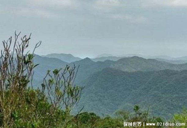 世界上年降水量最多的地方 台湾的火烧寮(是暴雨中心)
