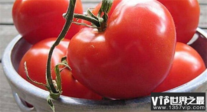 世界上最大的番茄 重量来到八斤（最大番茄）