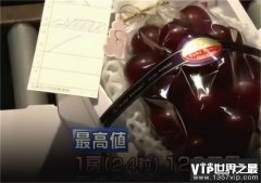 世界的最贵的葡萄 日本的浪漫红宝石（最贵葡萄）