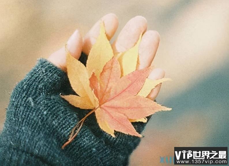 人生感悟 :致自己 !(精辟)