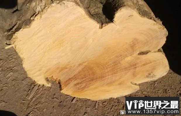 世界上十大最名贵的木材 海南黄花梨比较坚硬(颜色独特)