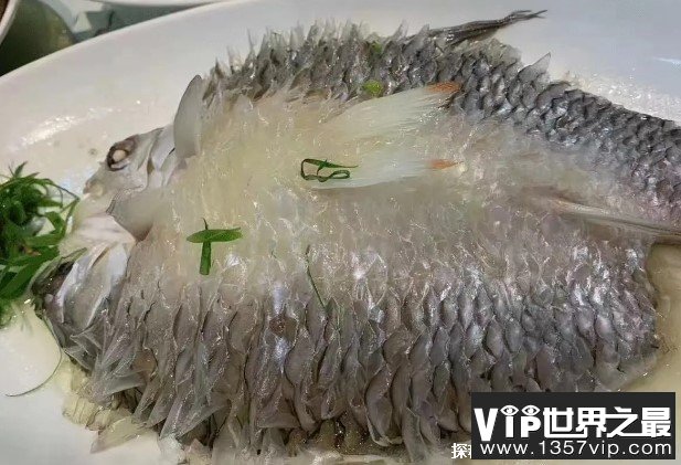世界十大顶级的食用鱼 鰤鱼是高端生食鱼品(营养丰富)