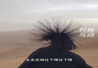 吐鲁番多名游客突然头发直立如刺猬 快被雷劈之前有哪些征兆