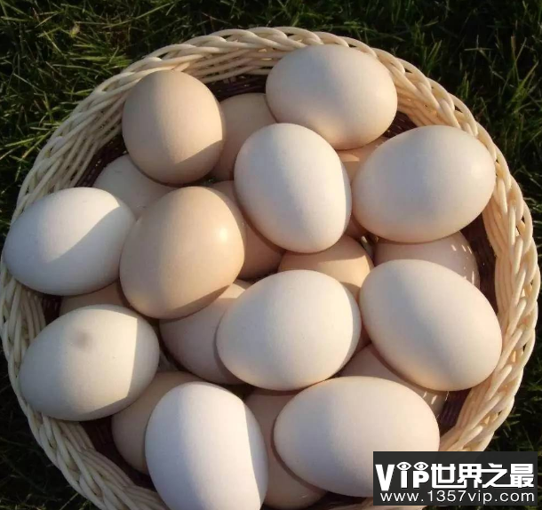 鸡蛋价格为什么涨了 今年鸡蛋价格会一直涨价吗