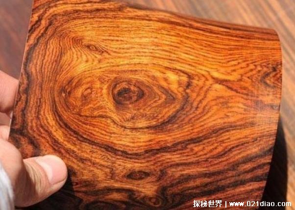 世界上最贵的木材 中国的海南黄花梨比较漂亮(价格4256万元)