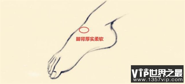 六种大富大贵体相 挣钱门路广 身边贵人多 日子越过越富
