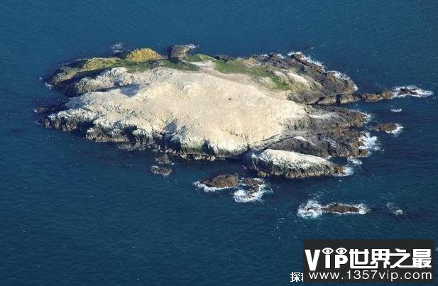 世界上最臭的海岛 格拉斯洪岛鸟屎高16米(无人居住)