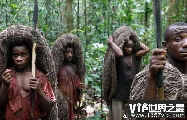 世界上身材最矮小的民族 俾格米人身高1.5米(位于非洲)