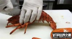 国家一级厨师刀法如何？一只大龙虾就能体现，看完真佩服！