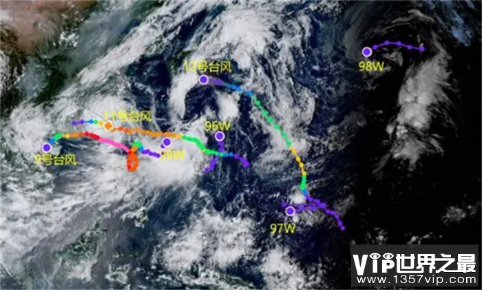今年这么多台风 到底是什么原因（台风天气）